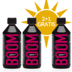 SOMMERAKTION  BOOM 2+1 GRATIS